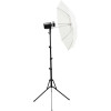 Набір студійних спалахів з парасольками та рюкзаком Godox AD300Pro Kit A2